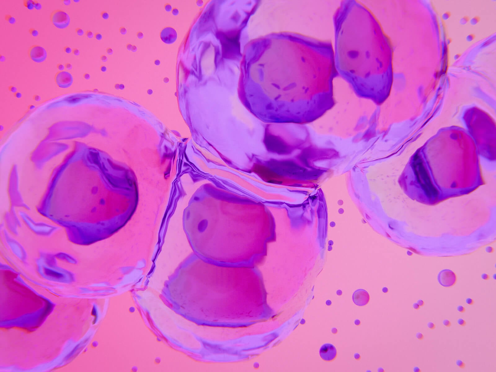 Cell structure close up